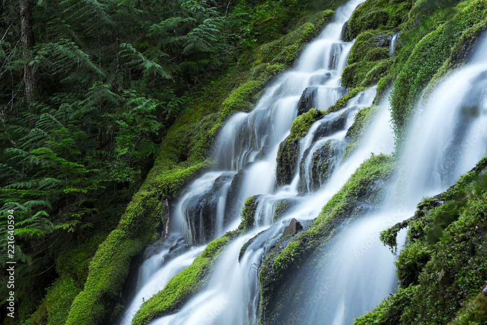 Upper Proxy Falls Upper Proxy Falls