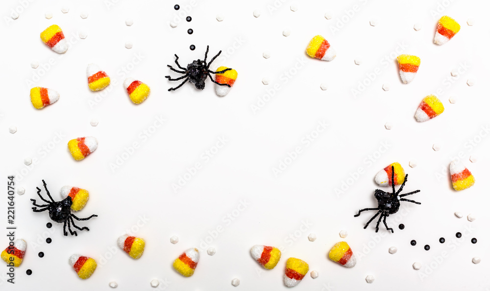 Halloween spiders overhead view on a solid color Halloween spiders overhead view on a solid color