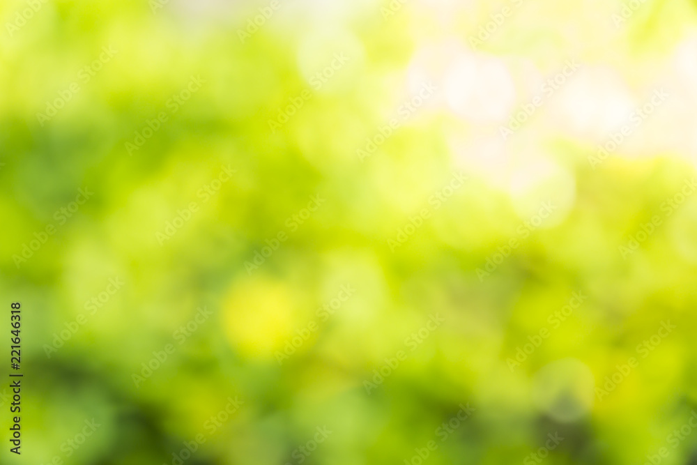 bokeh natural green blurred abstract background bokeh natural green blurred abstract background