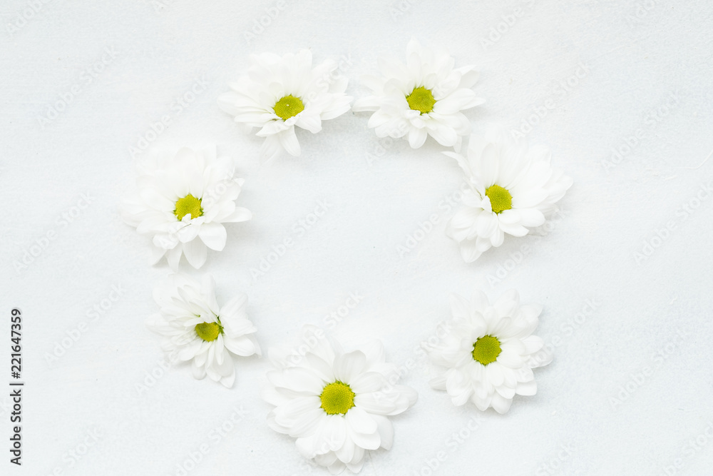 Obraz premium daisy wreath on white background. herbera flowers in a circle. minimalist floral decor. empty space concept