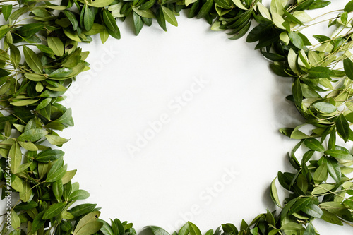 periwinkle leaves wreath on white background. green leafy foliage circle. minimalist floral decor. empty space concept