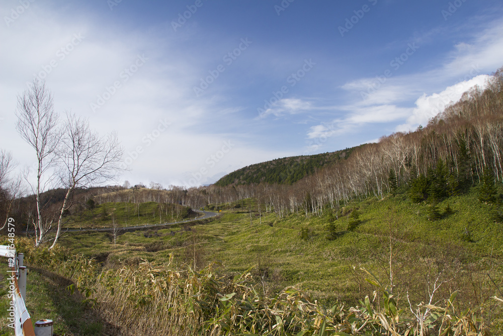 春の志賀高原道路/長野県山ノ内町 春の志賀高原道路/長野県山ノ内町
