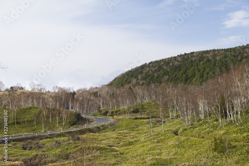 春の志賀高原道路／長野県山ノ内町