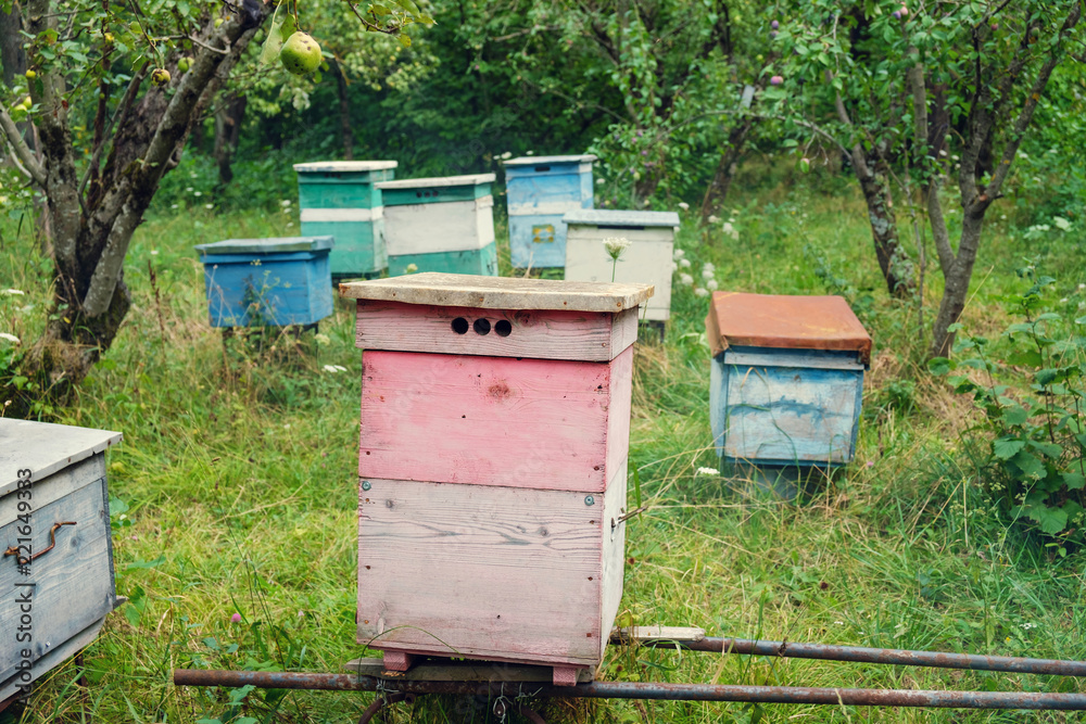 beehives beehives