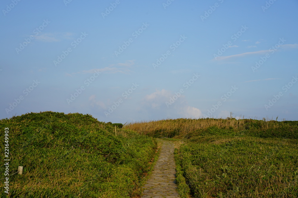 Obraz premium 海岸のへの道