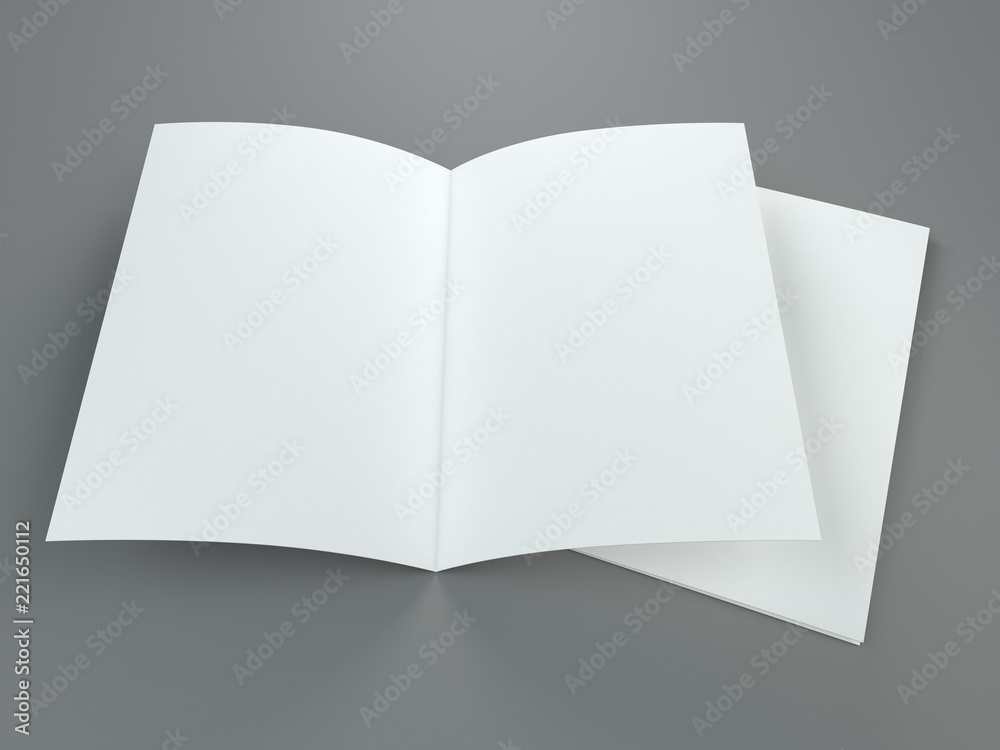 Identity, corporate, style, set of booklets, blank folding paper flyer. 3D Identity, corporate, style, set of booklets, blank folding paper flyer. 3D