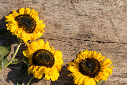 Fototapeta Naklejka Na Ścianę i Meble -  Decorative sunflowers on the wooden background