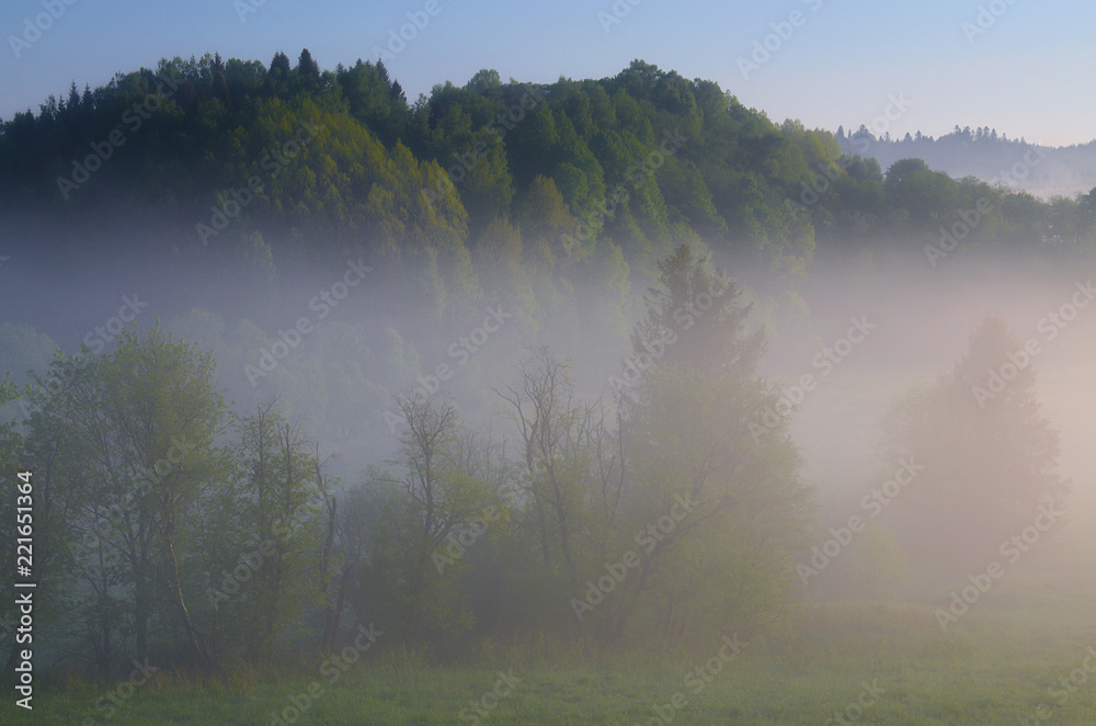 Obraz premium Zielone wzgórze
