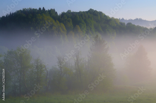 Zielone wzgórze