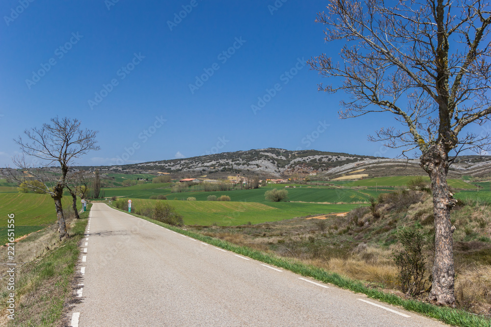 Road in the landscape of Castilla y Leon, Spain