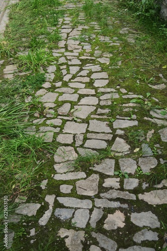 stone path in garden