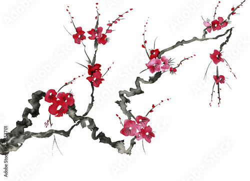 A branch of a blossoming tree. Pink and red stylized flowers of plum mei  wild apricots and sakura . Watercolor and ink illustration in style sumi-e  u-sin. Oriental traditional painting.