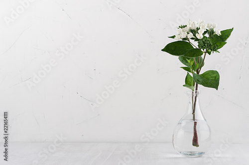 Gentle minimalist bouquet in exquisite transparent vase with white small flowers and green leaves on white shelf, simple home decor.