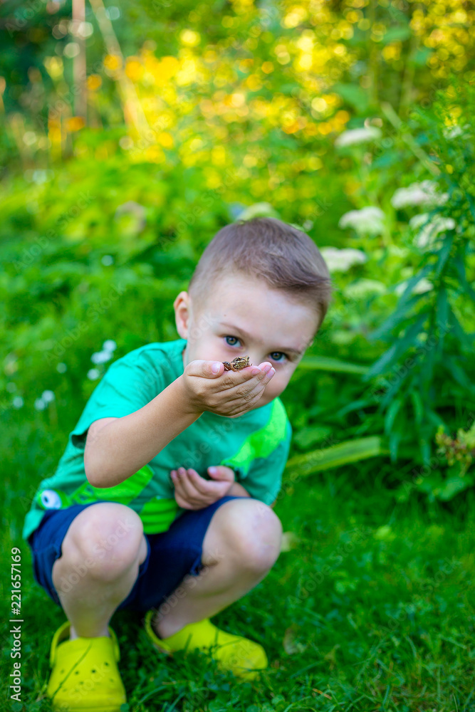 The boy is holding a frog on his hand. Kids discovering The boy is holding a frog on his hand. Kids discovering