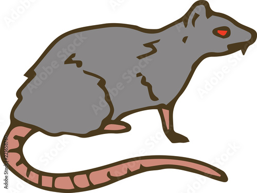 Big Gray Rat