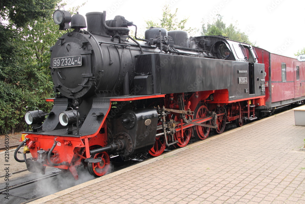 Schmalspurbahn Molli 3