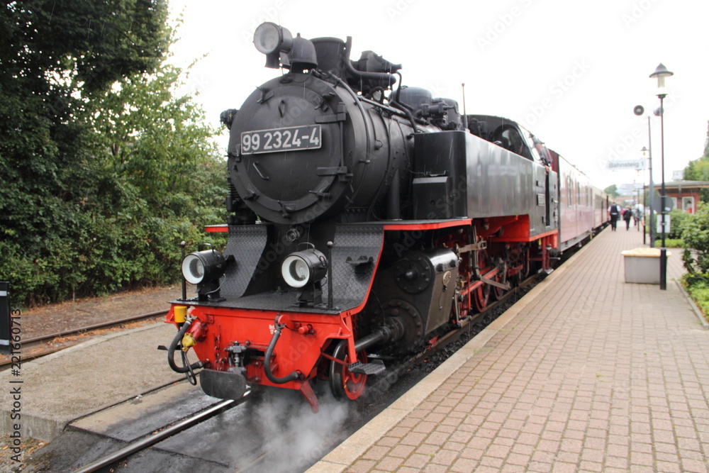 Fototapeta premium Kolej wąskotorowa Molli 1