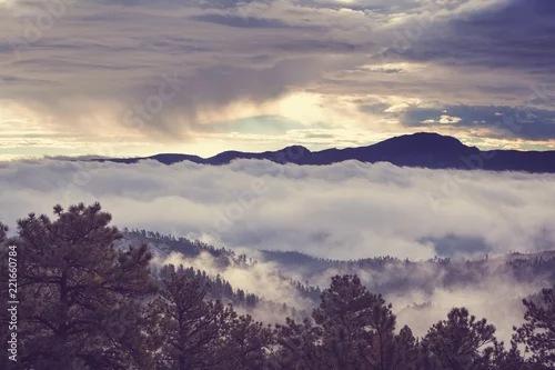 Obraz Mgła w górach