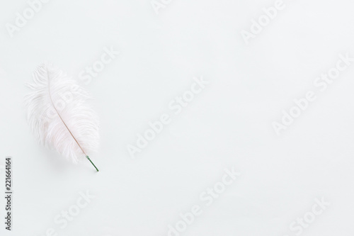 White feather flower on white background, top view and flat lay.