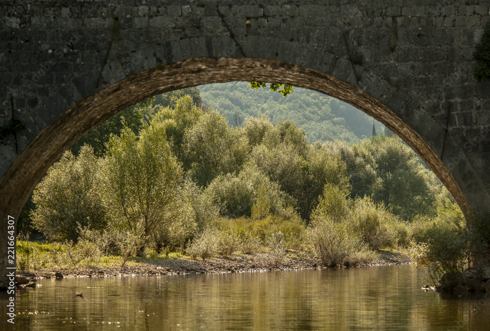 Fototapeta premium MONTENEGRO RIJEKA SKADAR NAT. PARC