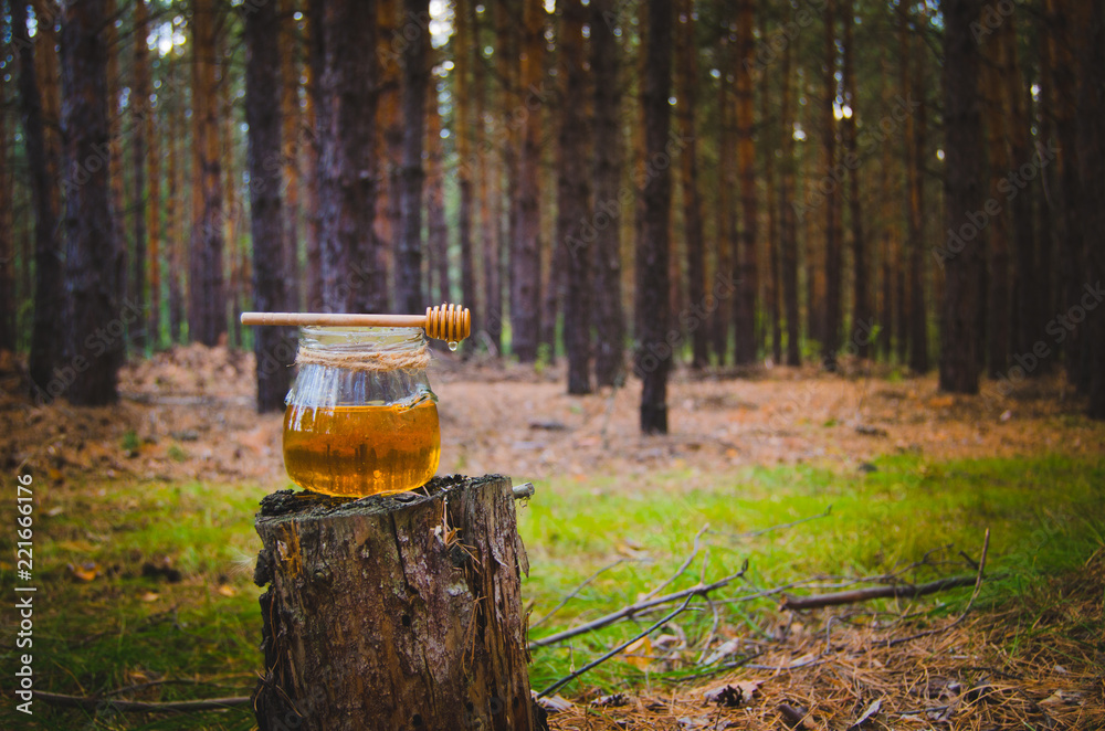 Jar of fresh honey and honey spoon on pine tree in woods. Jar of fresh honey and honey spoon on pine tree in woods.