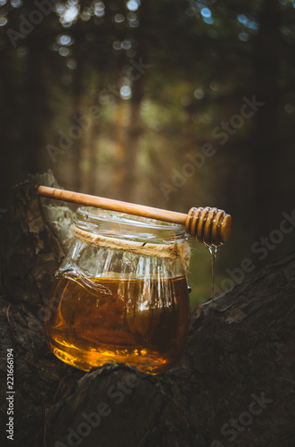 Fotografia Jar of fresh honey and honey spoon on pine tree in woods.