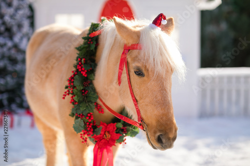 adorable pony with festive wreath near the small wooden house and snow-covered trees. New Year and Christmas time