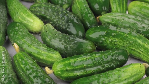 Rotation of natural ripe green cucumbers in drops of dew. Food