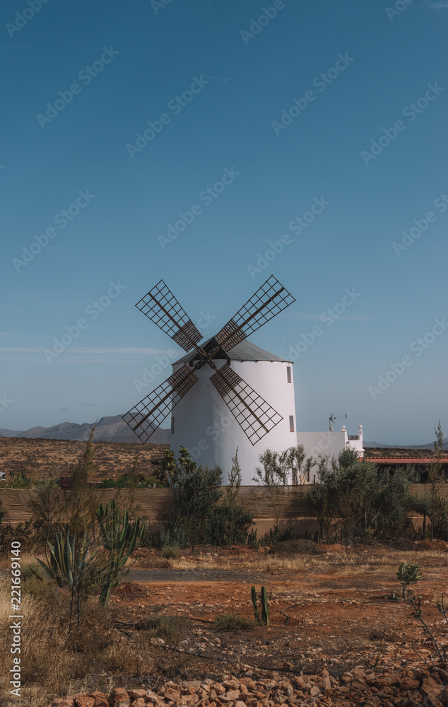Fototapeta premium Windmill in Fuerteventura