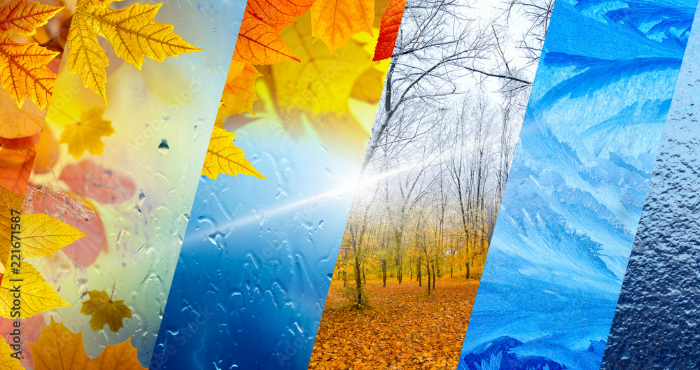 Fall And Winter Seasonal Background, Weather Forecast Concept Stock ...