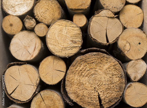 sawed off tree trunks, logs, logs, wood, wood texture