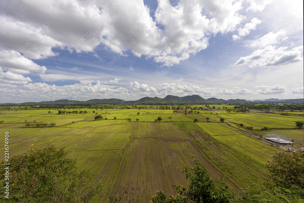 タイの田園風景