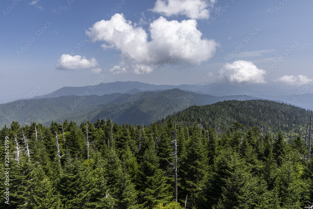 Smoky Mountains Scenic Landscape