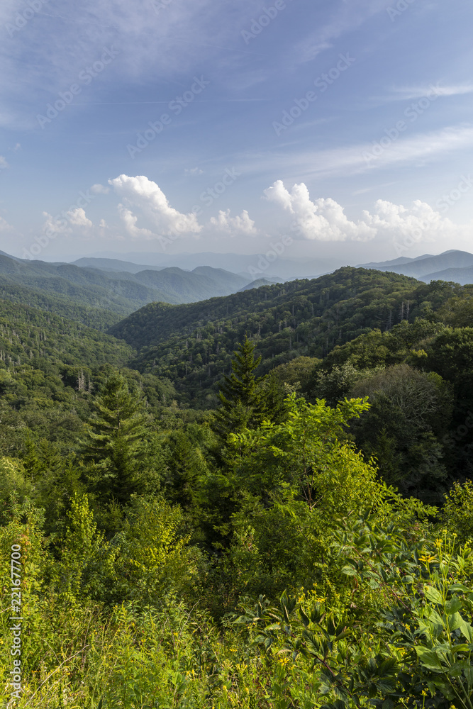 Fototapeta premium Smoky Mountains Scenic Landscape