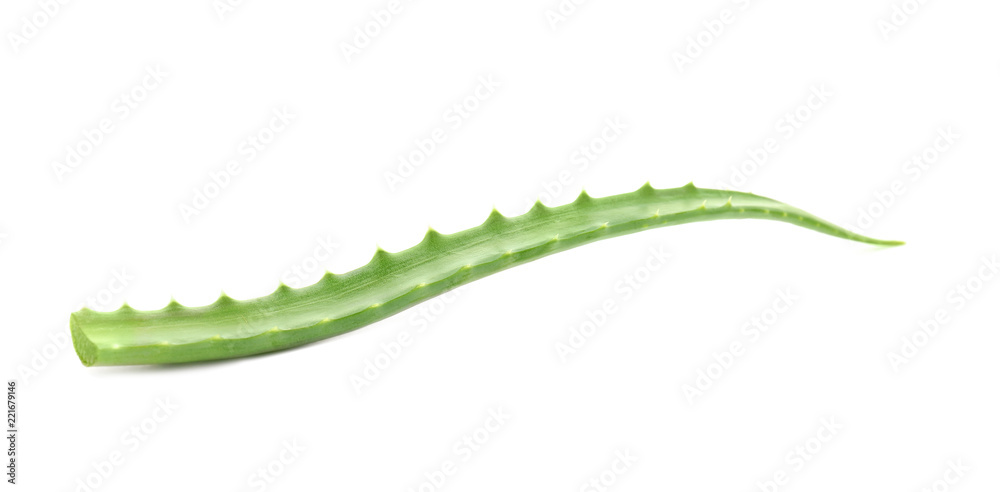 Aloe vera leaf on white background Aloe vera leaf on white background