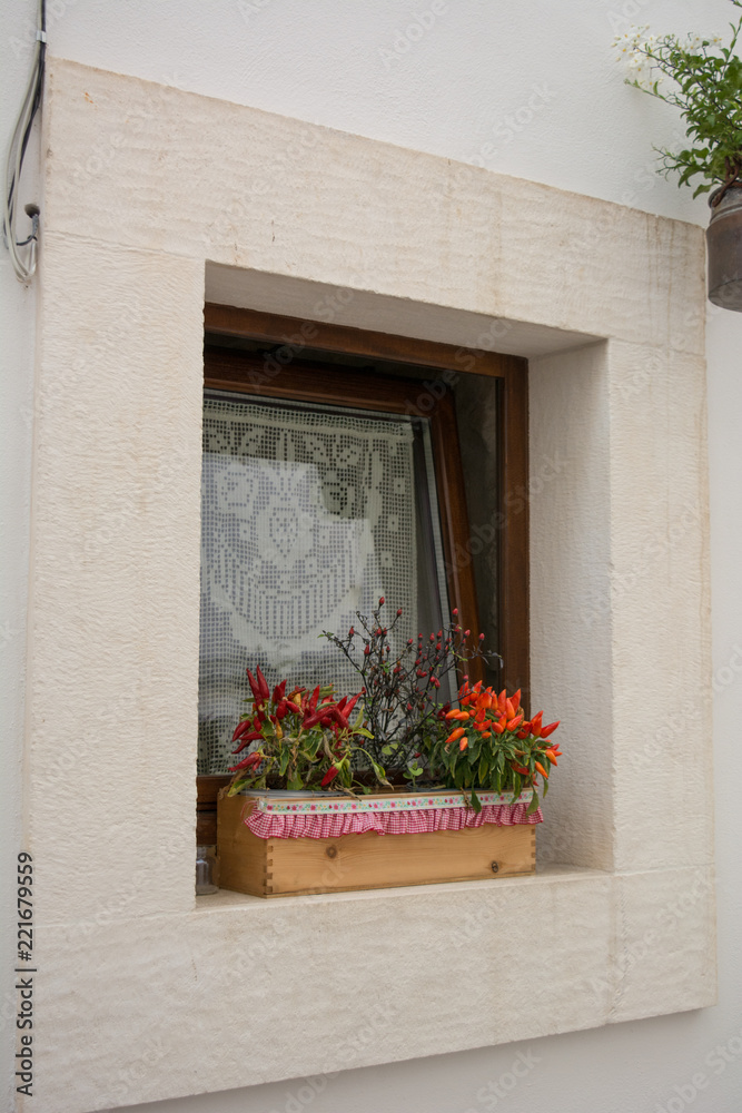 Close Up of a Decorated Window with Flowers in the City of Locorotondo,