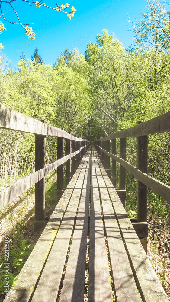 long wooden bridge in the forest