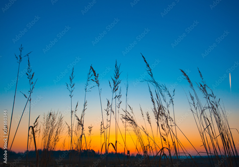 Obraz premium Hunter lookout tower in the morning