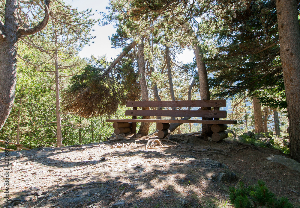 Wood Bench