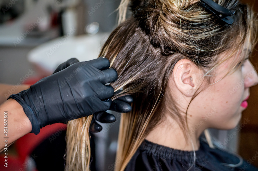 Fototapeta premium The hairdresser applies nutritious and healing components to damaged hair, applying botox to the hair, combs every strand