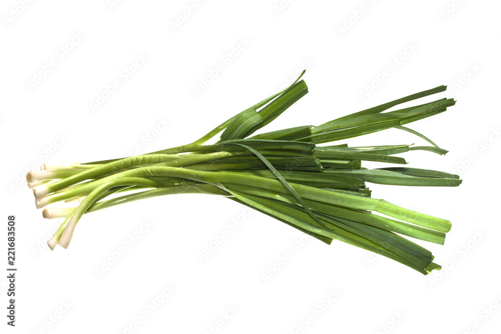 green onion isolated on white background