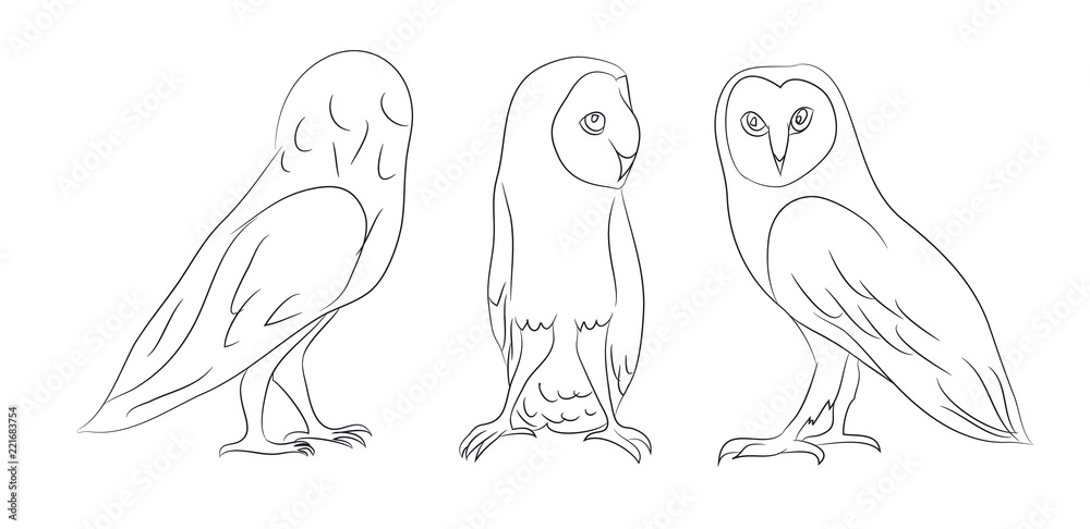 owl stands drawing lines, vector owl stands drawing lines, vector