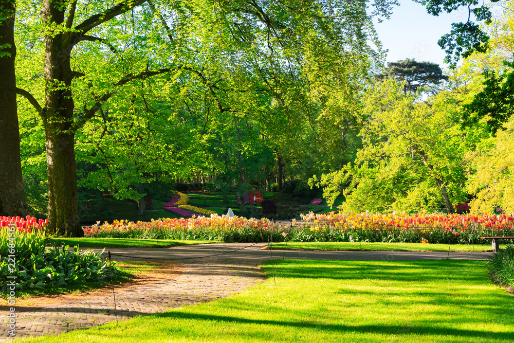 fresh spring lawn with blooming flowers and green grass in formal garden