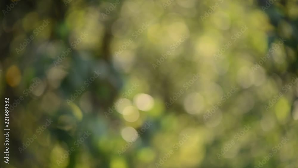 green natural background