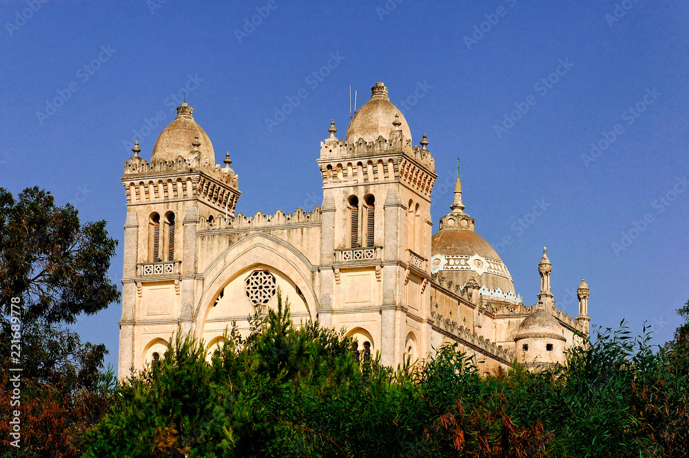 The Acropolium, also known as Saint Louis Cathedral at Byrsa - Carthage, Tunis, Tunisia