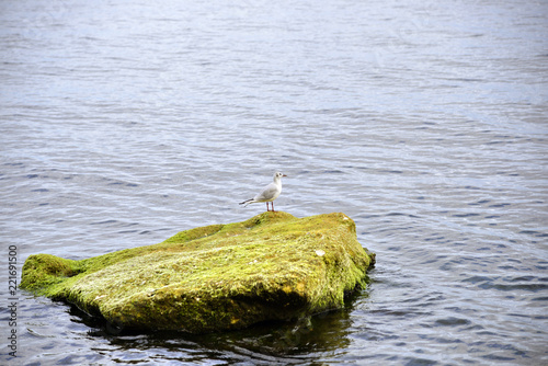 Stevns Klint Denmark photo