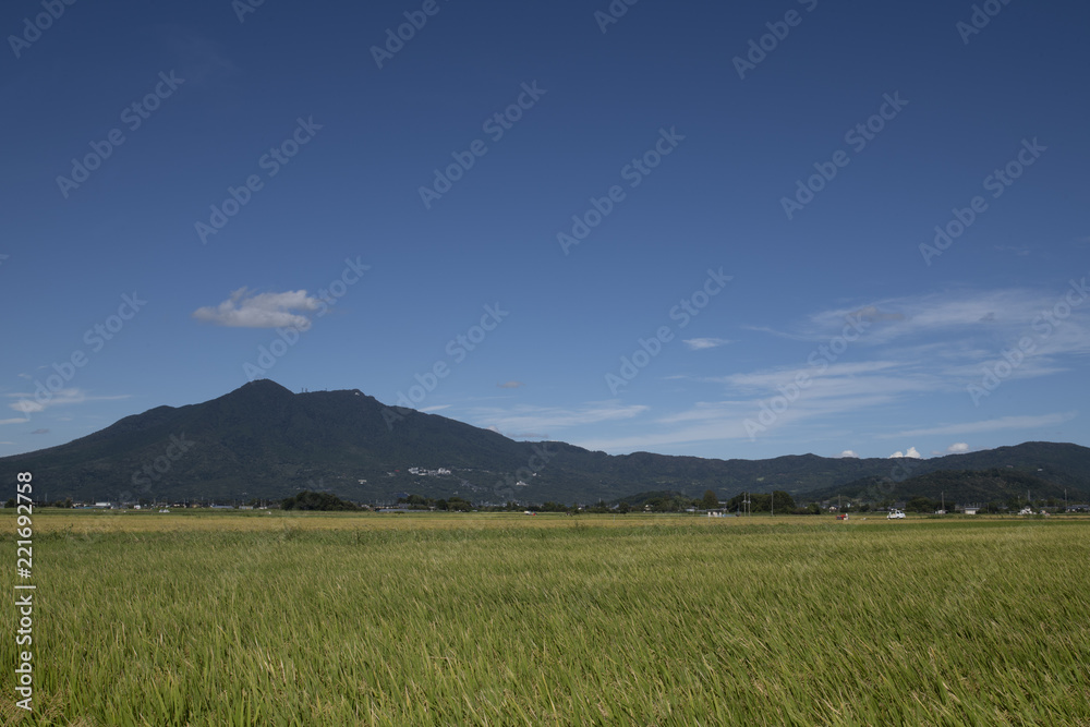 筑波山実り