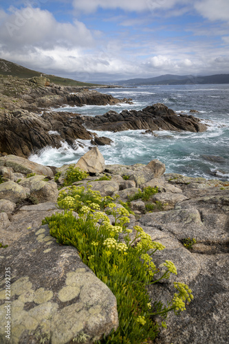  Cape Roncudo (Faro de Cabo Roncudo) on the coast of death (costa da more ) in  galicia, spain photo