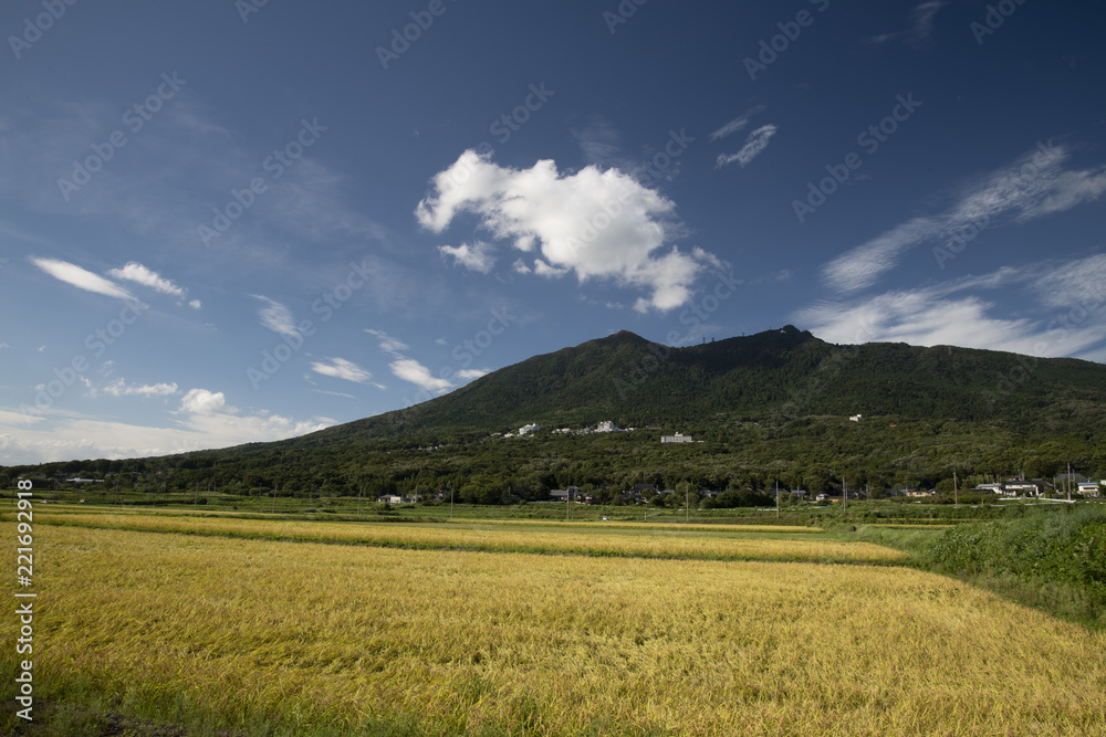 筑波山実り 筑波山実り