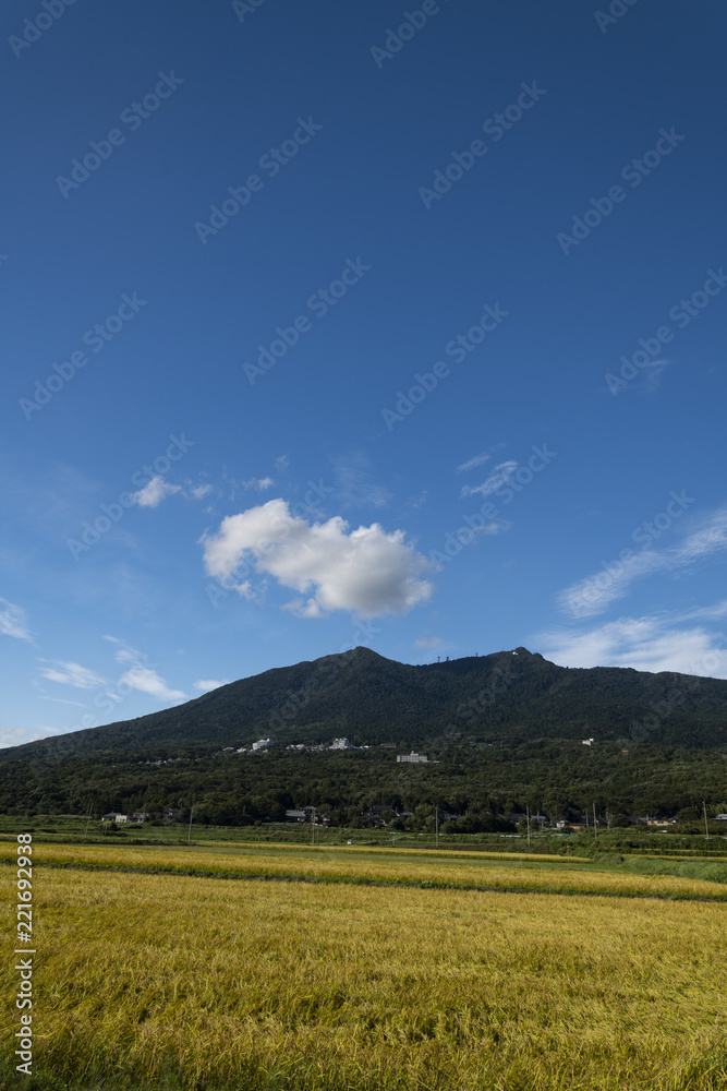 Fototapeta premium 筑波山実り